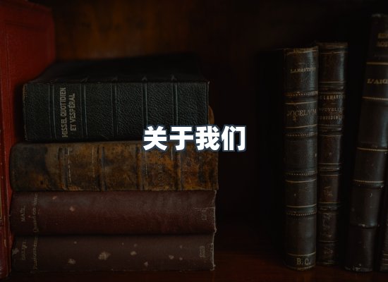 关于我们